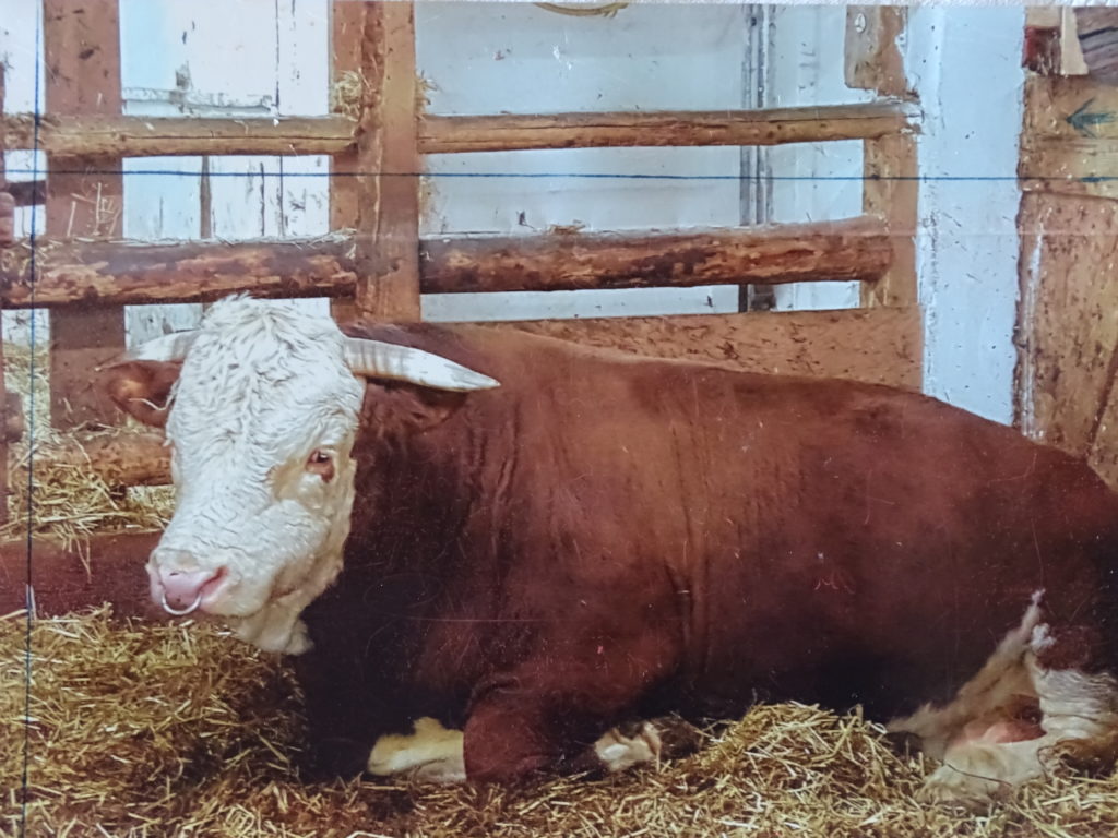 Dieses Bild hat ein leeres Alt-Attribut. Der Dateiname ist DSC09288-1024x768.jpg