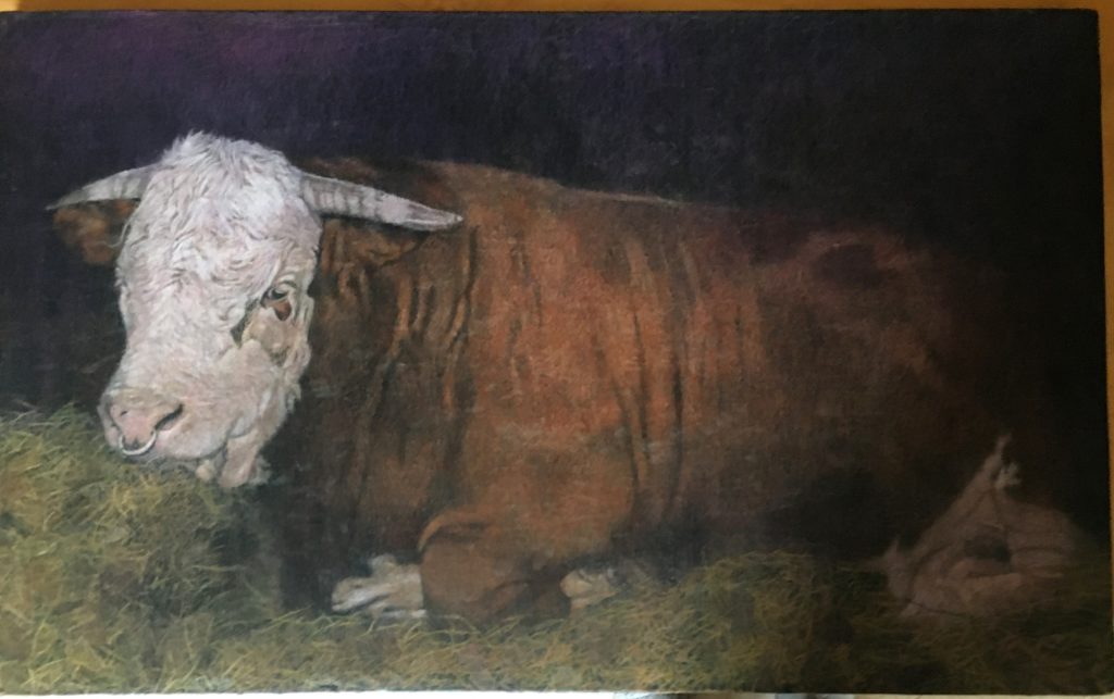 Dieses Bild hat ein leeres Alt-Attribut. Der Dateiname ist IMG_2346-2-1024x643.jpg